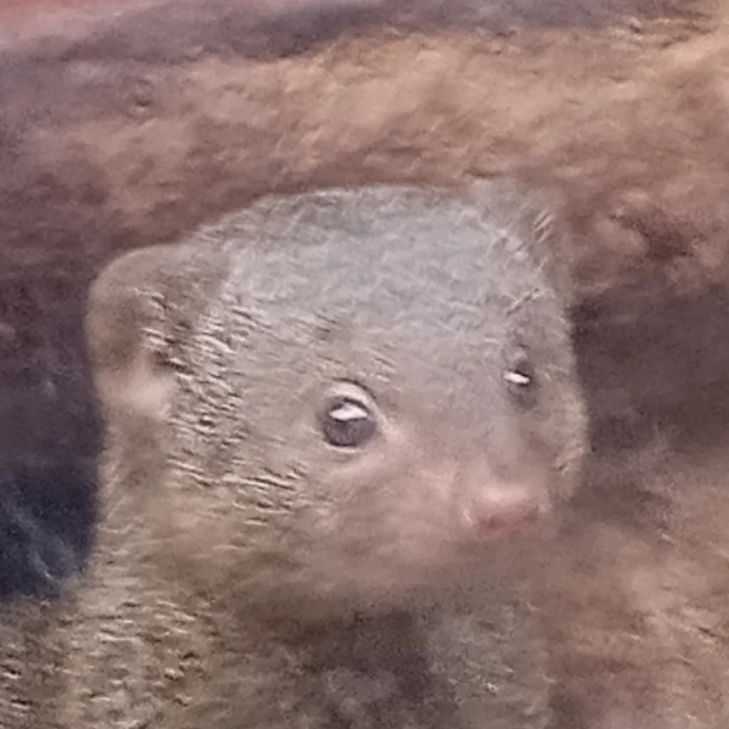 chat with ai character: Creepy pastas ✨