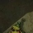 chat with ai character: Bunzo bunny (???) 