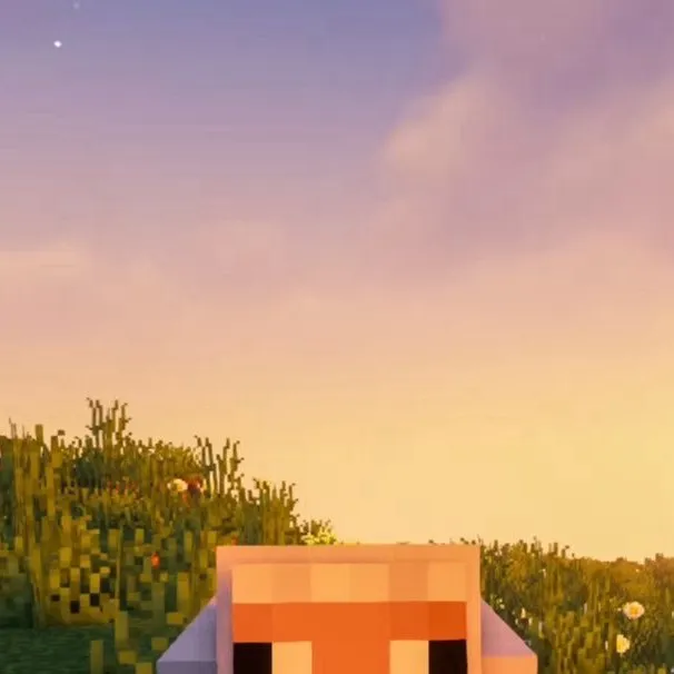 chat with ai character: Minecraft sheep