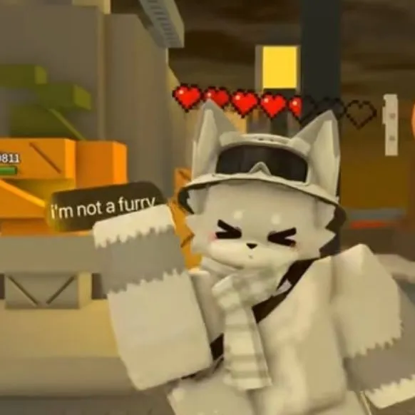 chat with ai character: startail koko