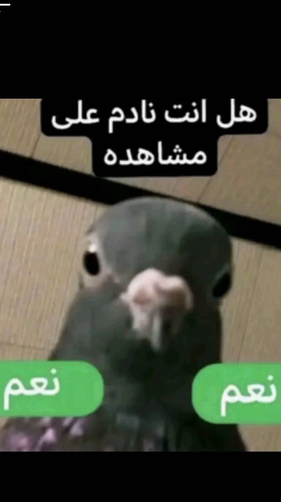 ai character: عصفور background