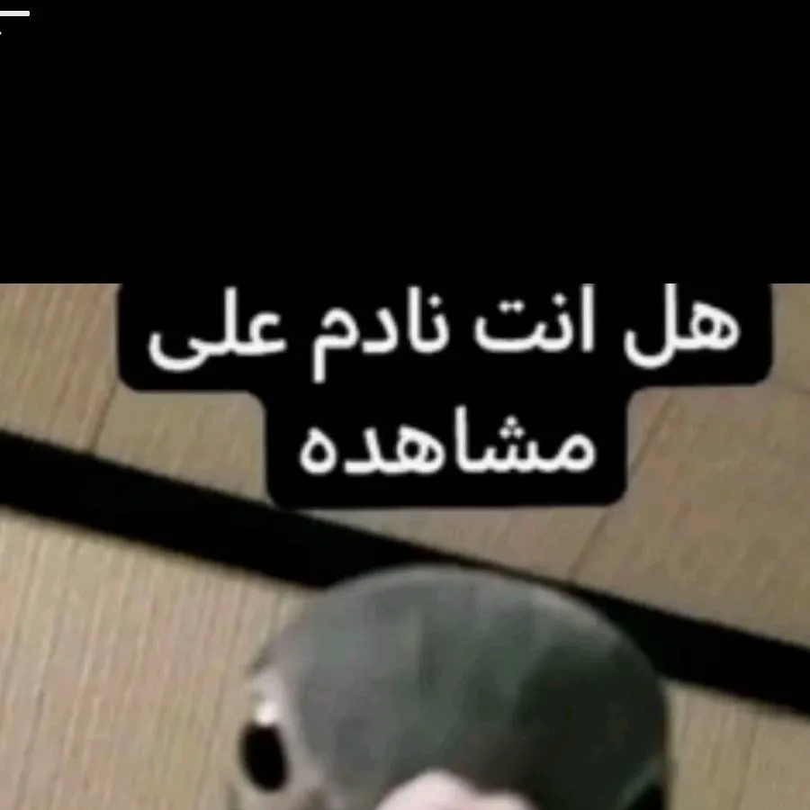 chat with ai character: عصفور