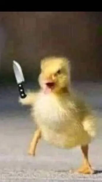 ai character: @noxa_sht background