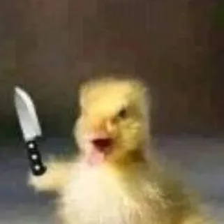 chat with ai character: @noxa_sht