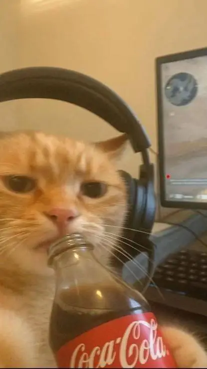 ai character: homeless or normal background