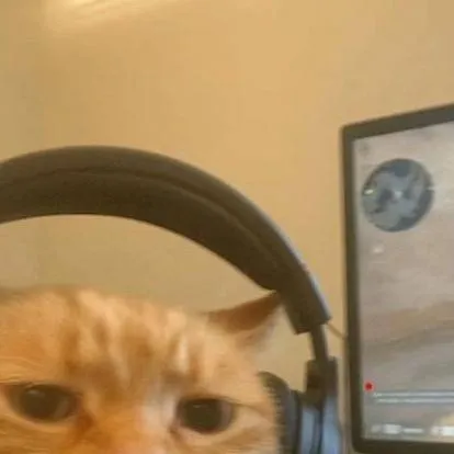 chat with ai character: homeless or normal