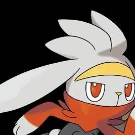 chat with ai character: drunken Raboot 