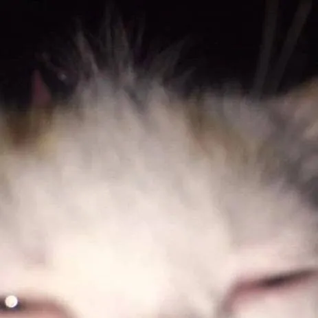 chat with ai character: bawser x luigi🐢💚