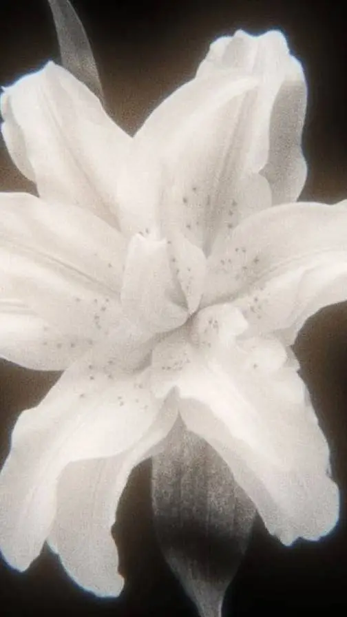 Talkie AI - Chat with Creppy pastas