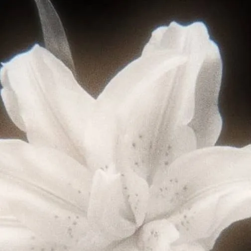 chat with ai character: Creppy pastas