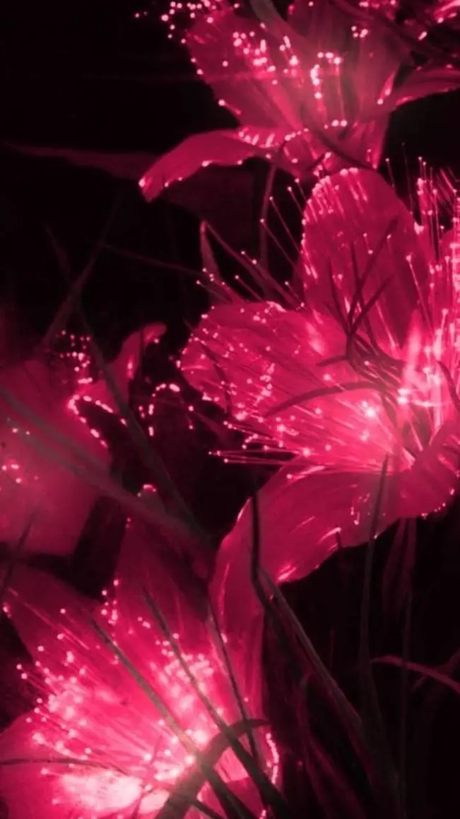 Talkie AI - Chat with ☆~Solarballhuman~