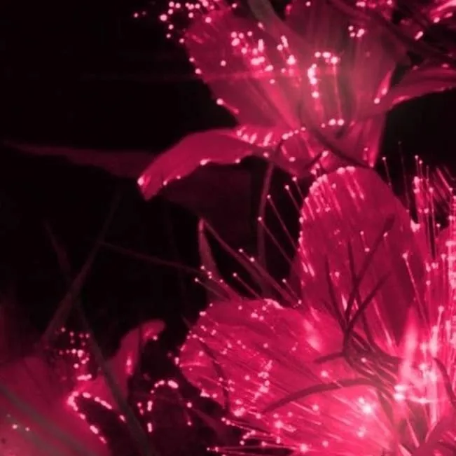 chat with ai character: ☆~Solarballhuman~