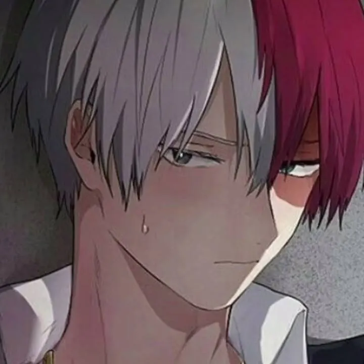 chat with ai character:  shoto Todoroki 