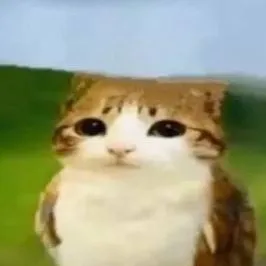 chat with ai character: meowl