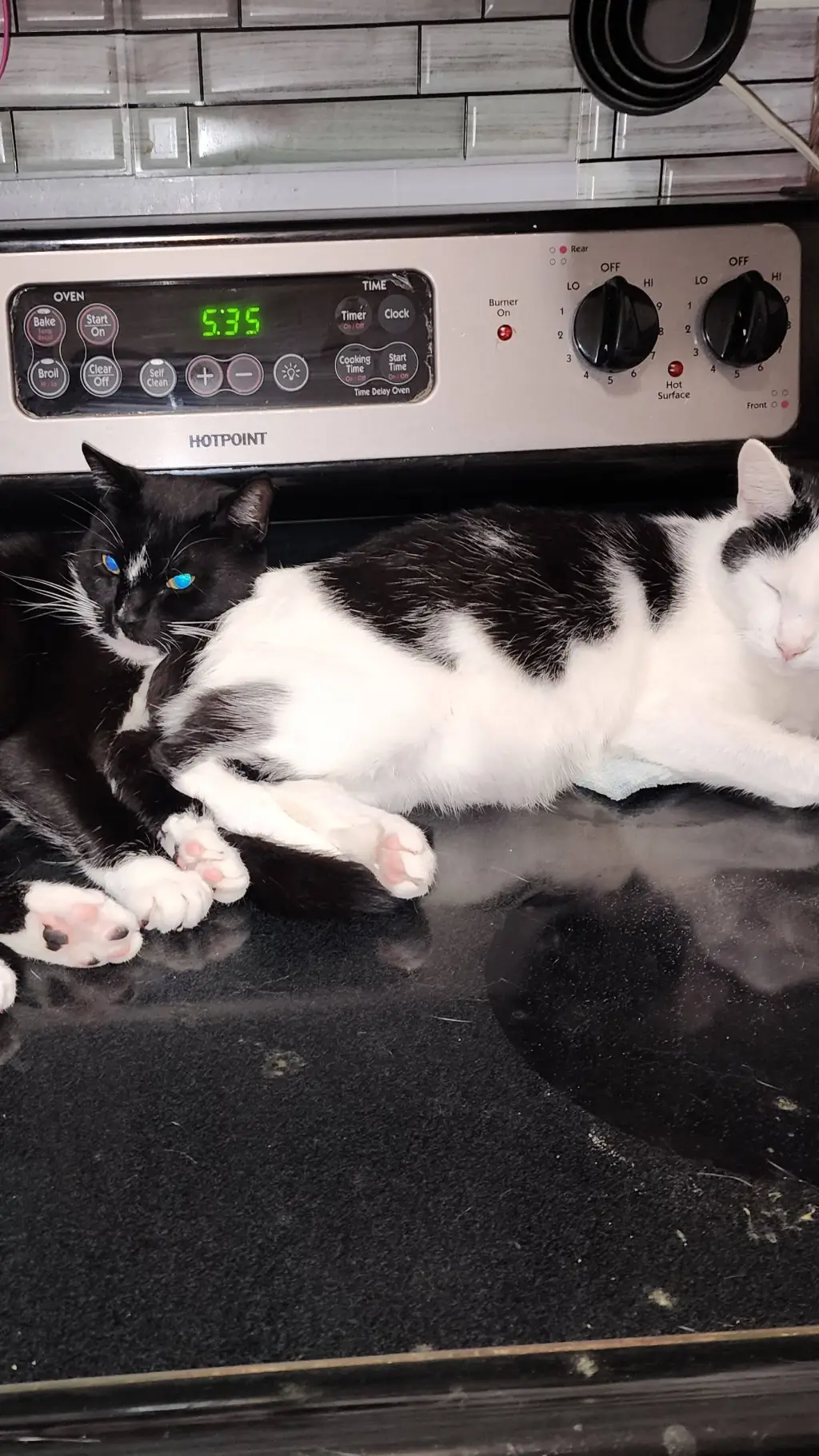 ai character: ghosty × sunny background