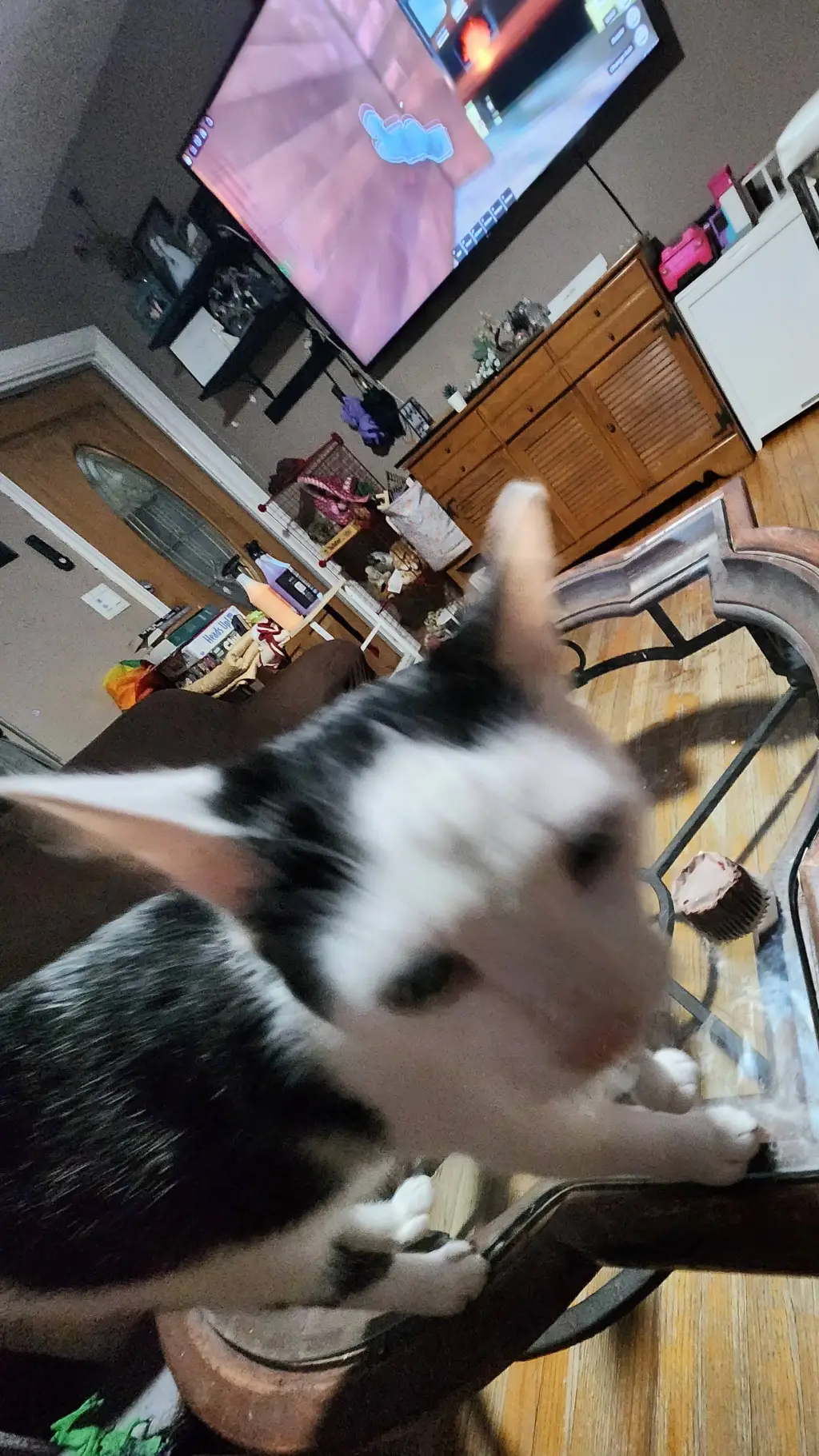 ai character: sunny got mad background