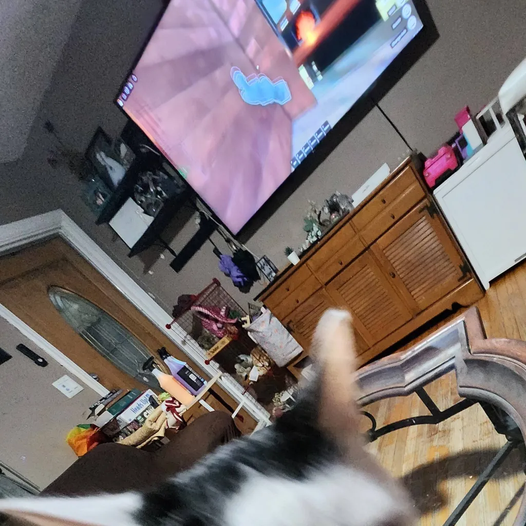 chat with ai character: sunny got mad