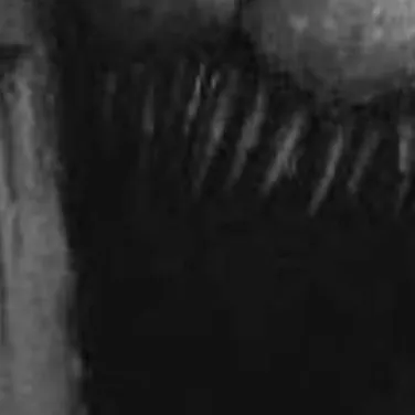 chat with ai character: black cat entity