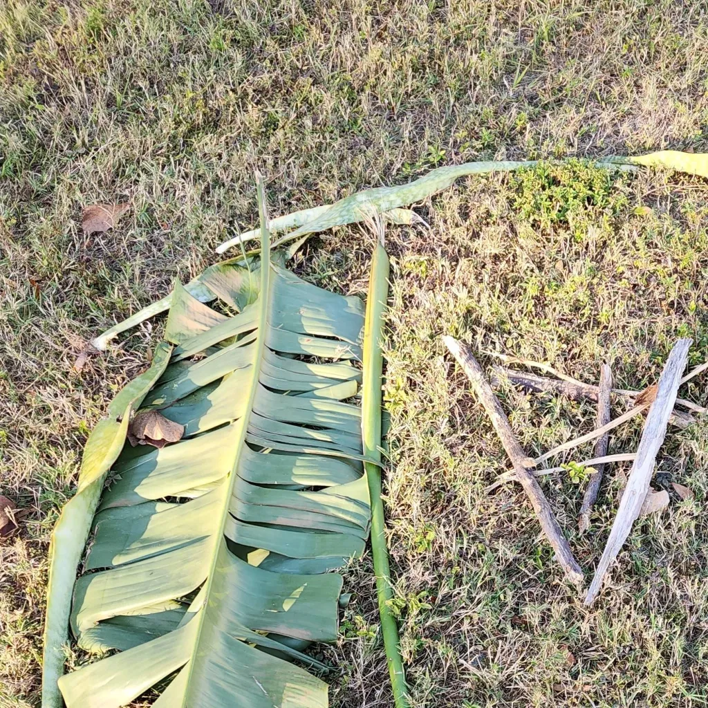 chat with ai character: baby Jamaican