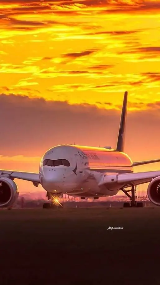 ai character: Skybound Voyager background