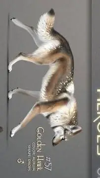 ai character: Golden Hawk background