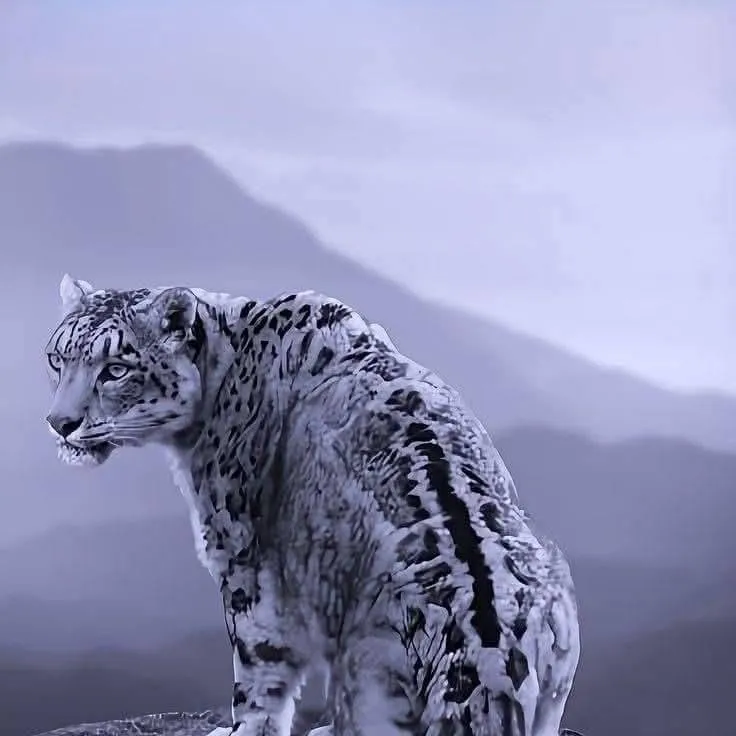 chat with ai character: Kira