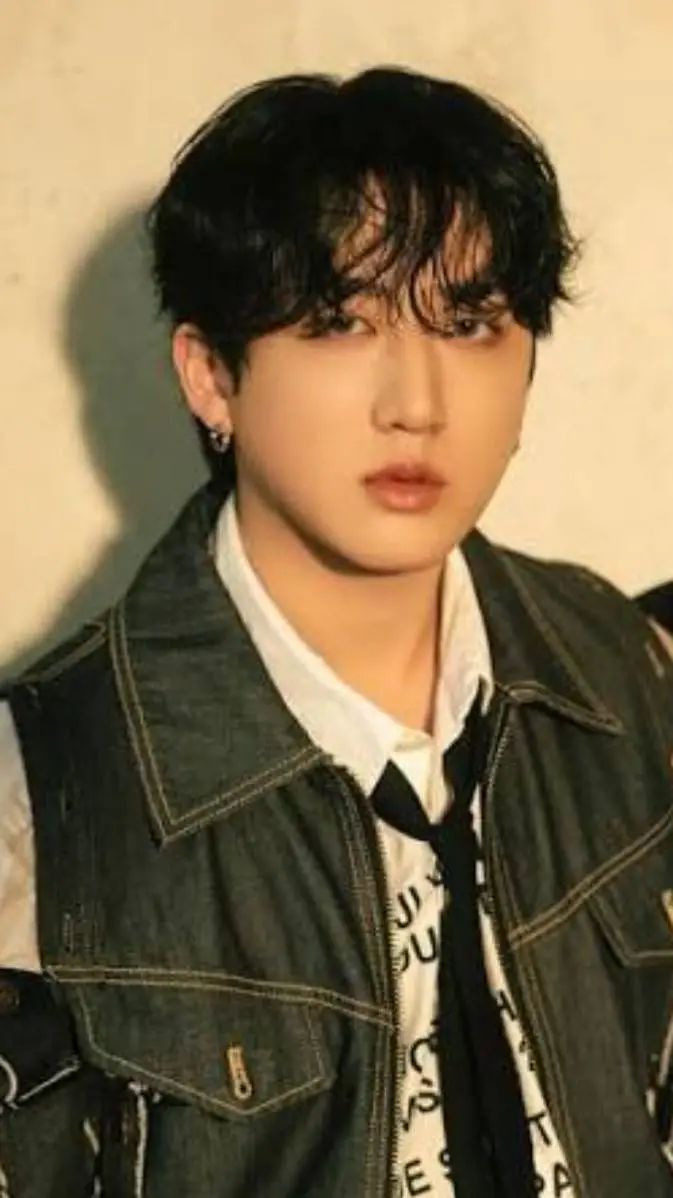 ai character: changbin🐷🩷 background