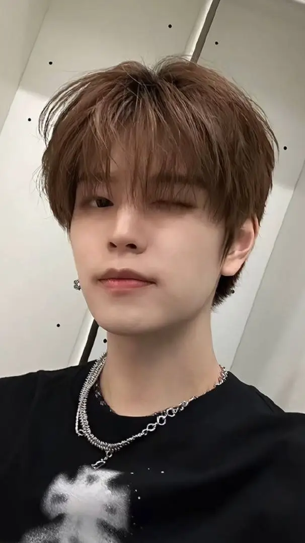 ai character: seungmin🩷🐶 background