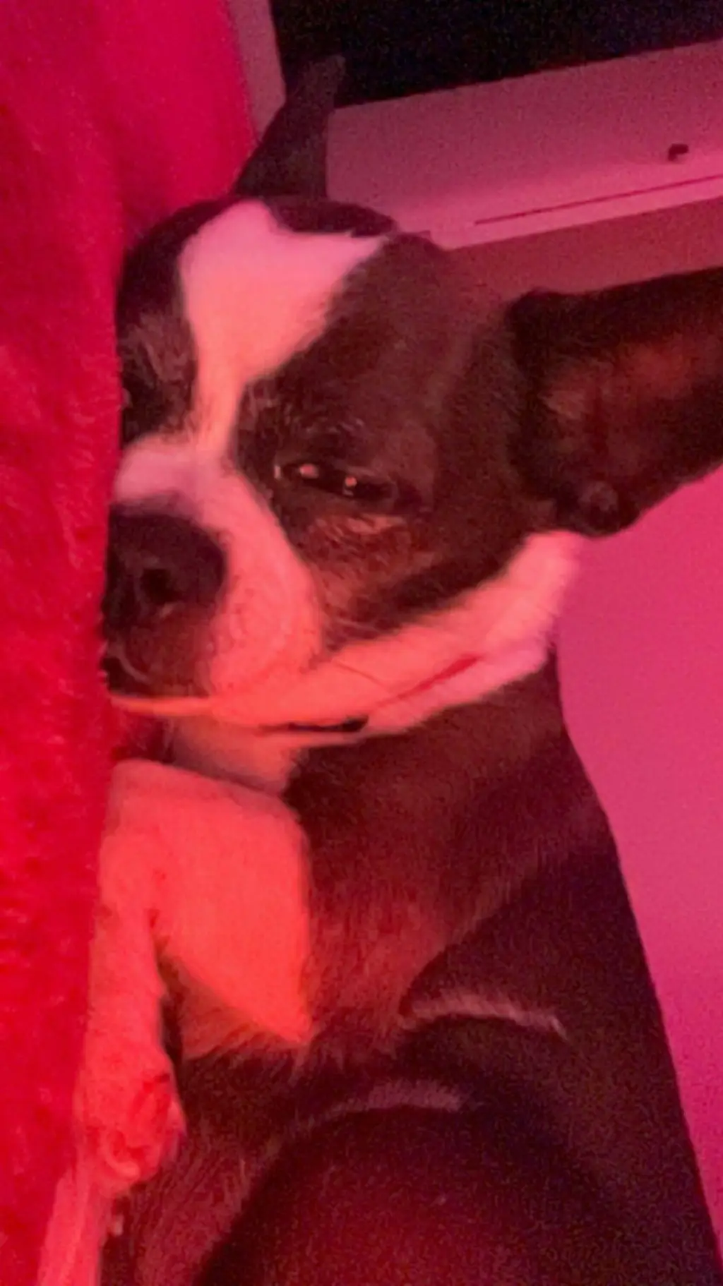 ai character: Farley background