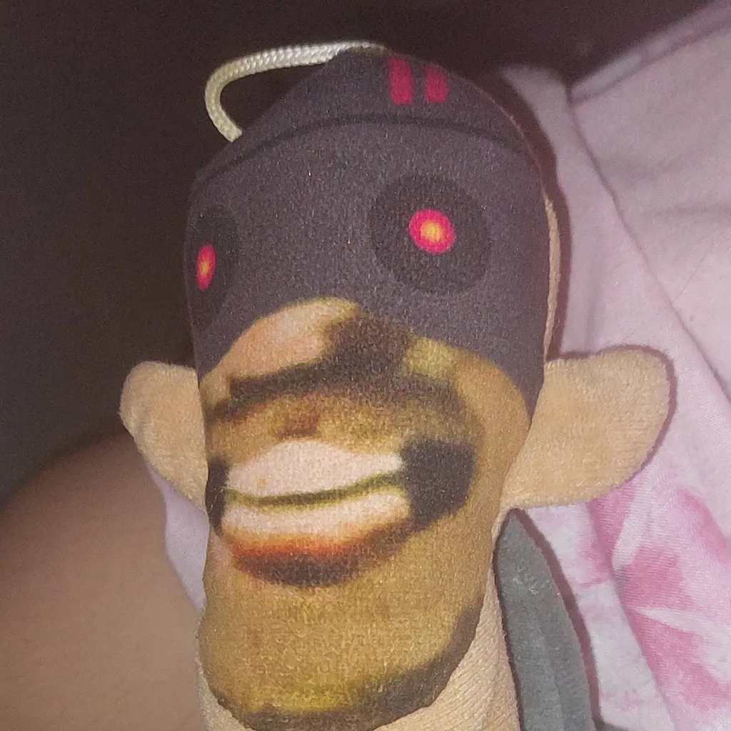 chat with ai character: SKIBDI Plushly 