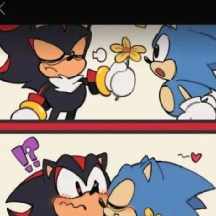 chat with ai character: sonadow 