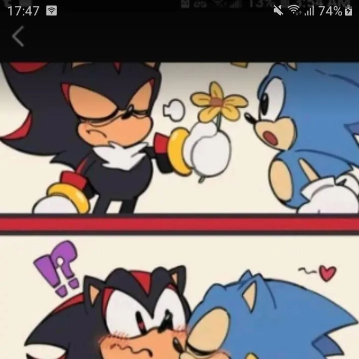 chat with ai character: sonic e shadow