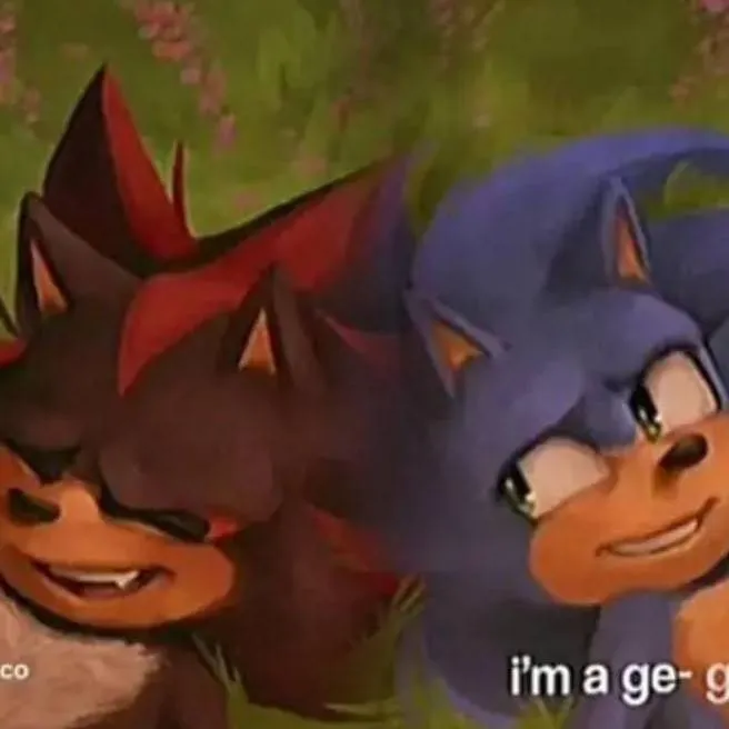 chat with ai character: sonadow 2