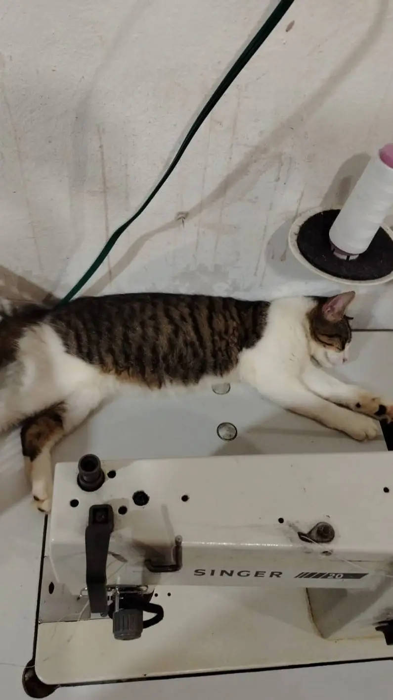 ai character: moki background