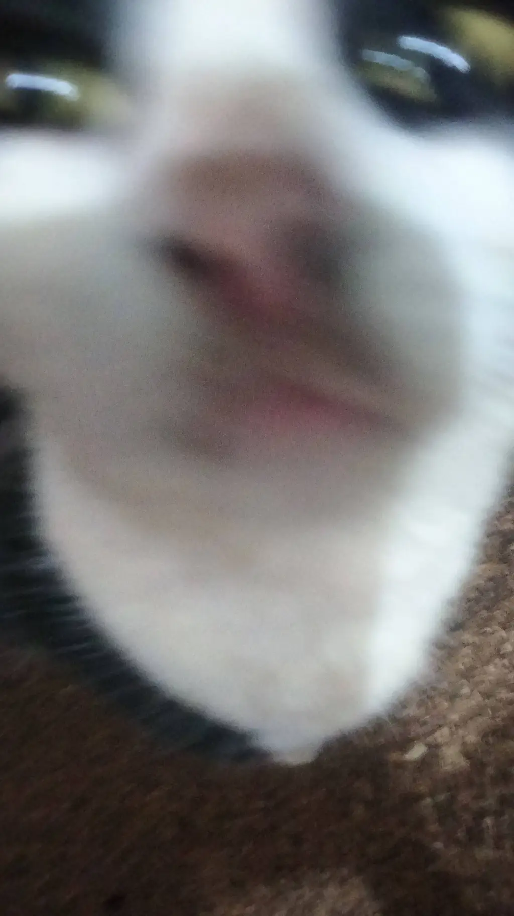 ai character: horeo  background