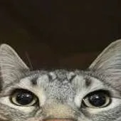 chat with ai character: forsaken idk