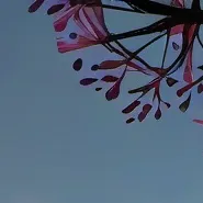 chat with ai character: azuretime