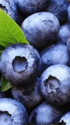 ai character: blueberry background