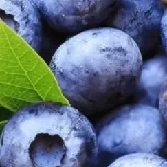chat with ai character: blueberry