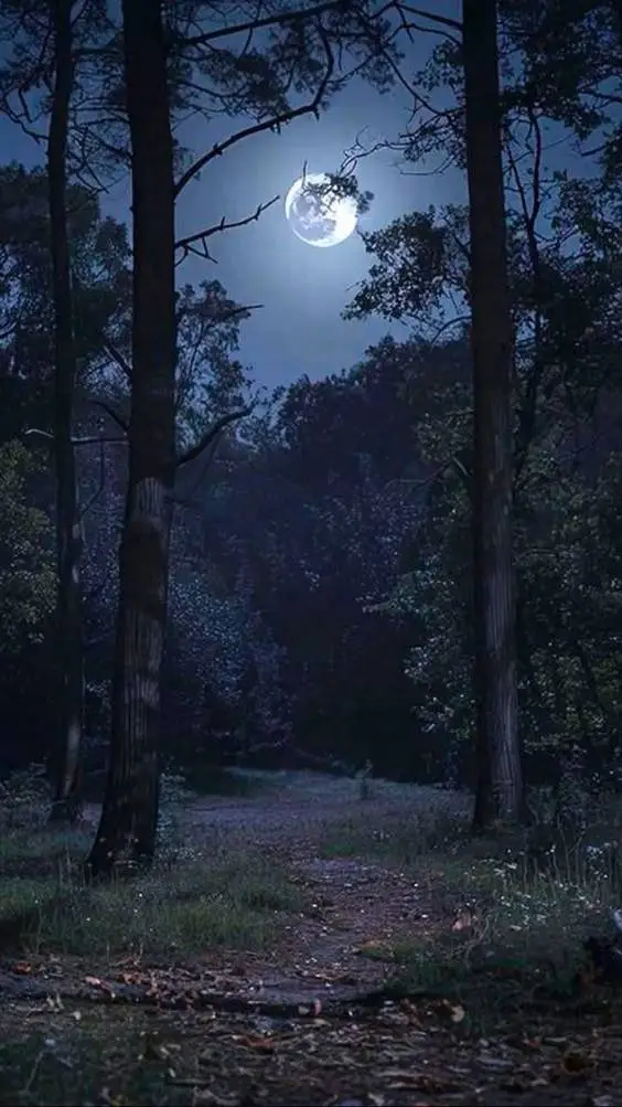 ai character: ༺The Moon's Enemy༻ background
