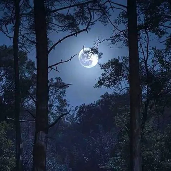 chat with ai character: ༺The Moon's Enemy༻