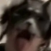 chat with ai character: therian 