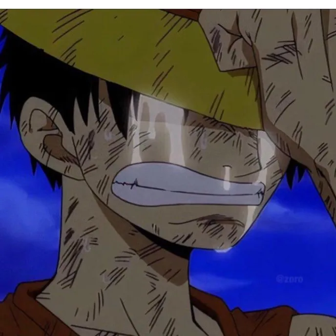 chat with ai character: People hate luffy