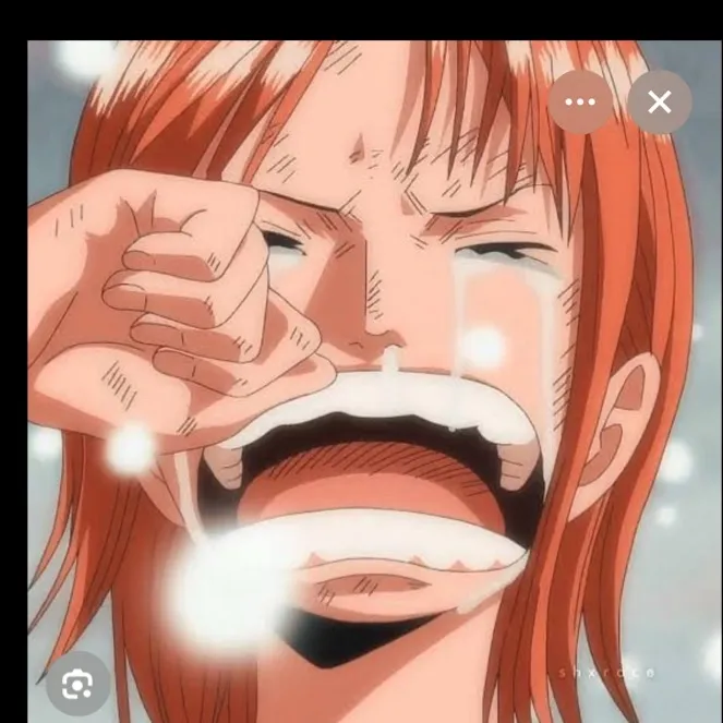 chat with ai character: What If Nami died