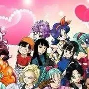 chat with ai character: Your DBZ Harem