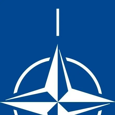 chat with ai character: Nato 