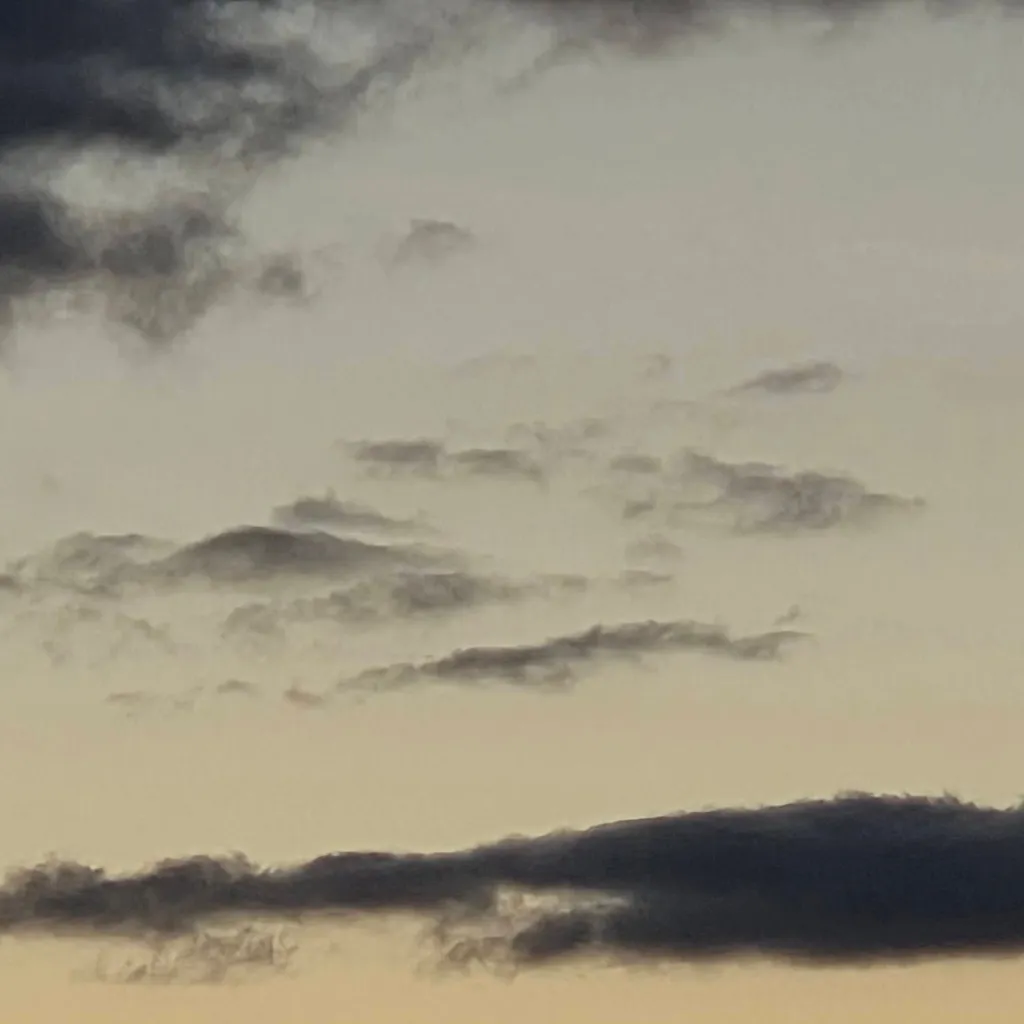 chat with ai character: leaving school 