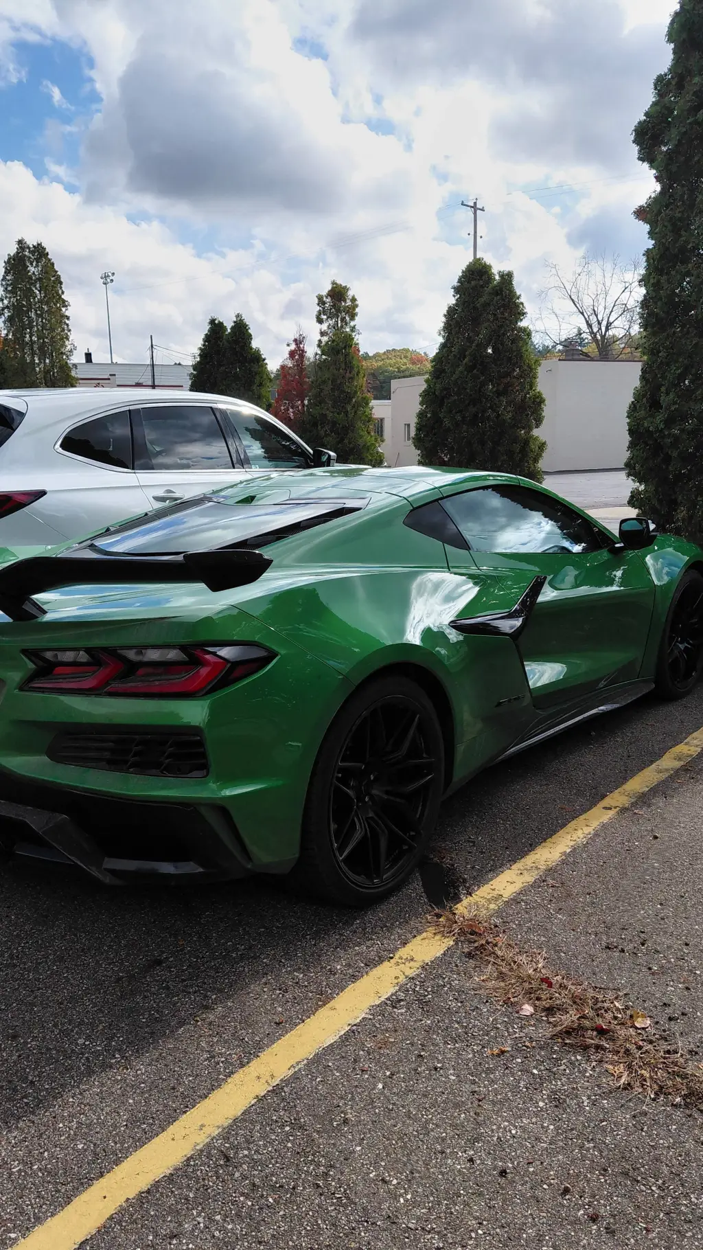 ai character: corvette background