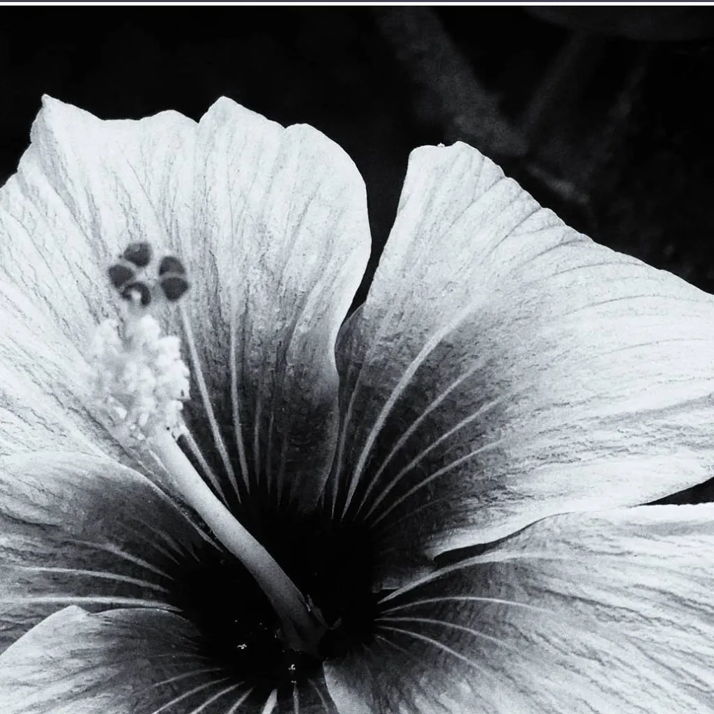 chat with ai character: my first talkiply