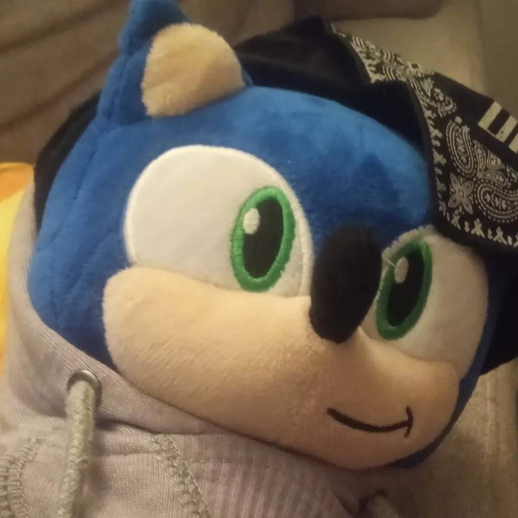 chat with ai character: gangster Sonic